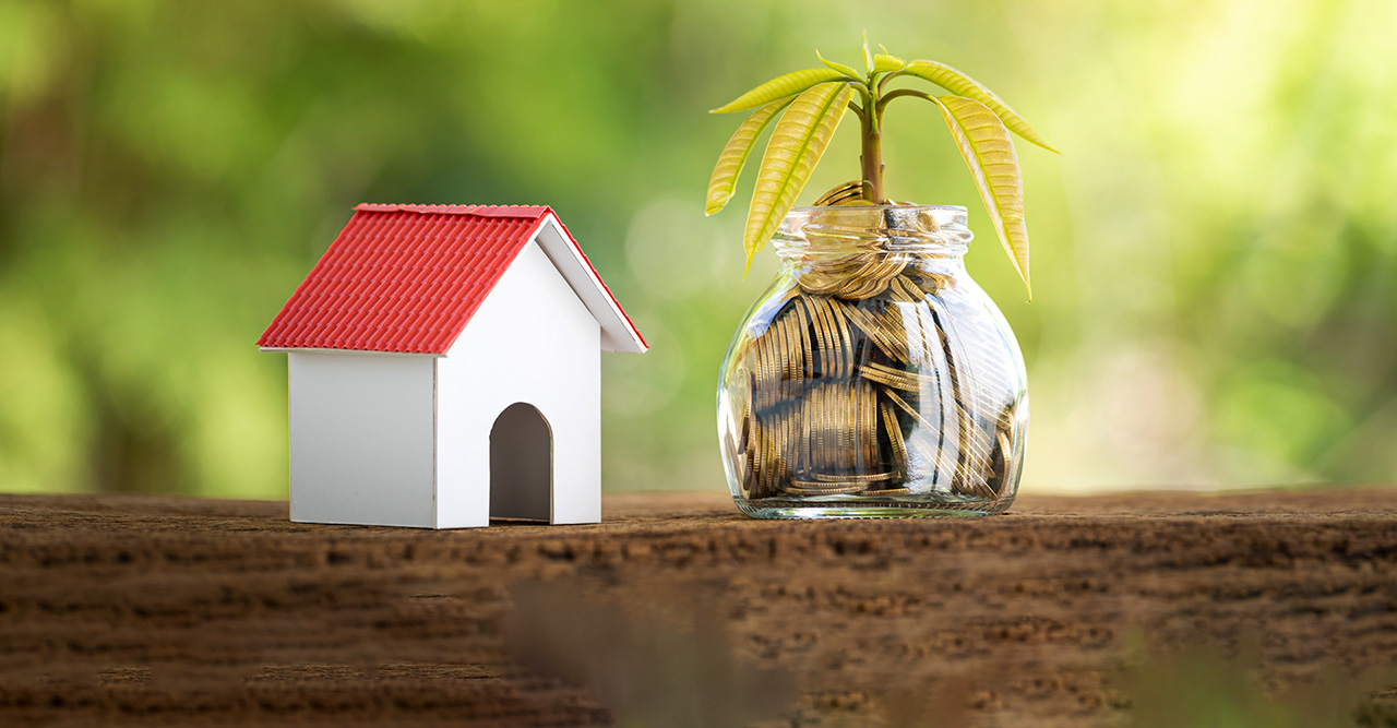 bottle bank and gold coin with seed plant growing interest